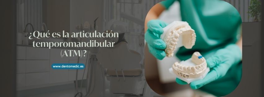 Qué es la articulación temporomandibular (ATM)